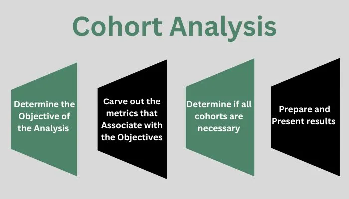 Cohort Analysis in Marketing
